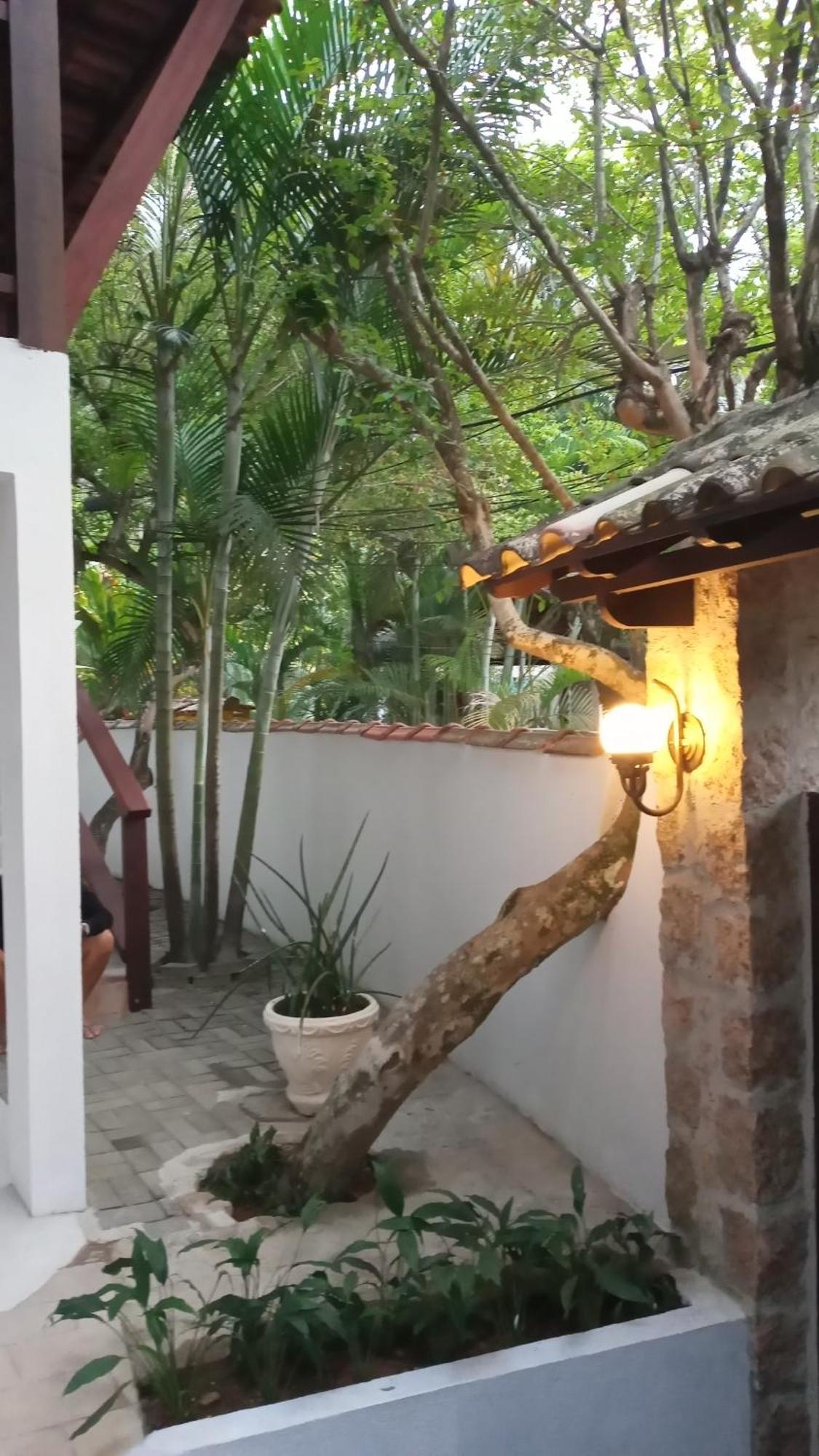 Pitanga Ilha Grande Bed & Breakfast エクステリア 写真